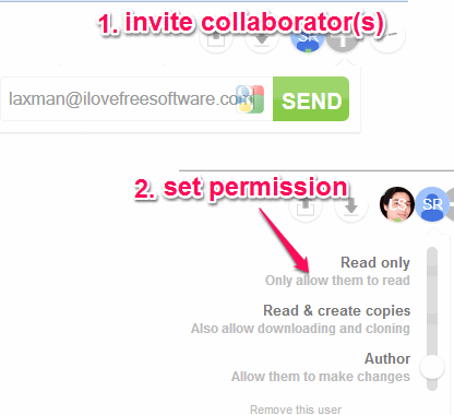 invite collaborators and set permission