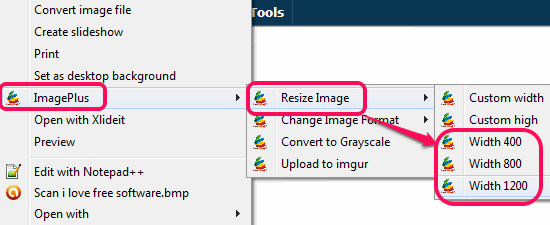 resize image option
