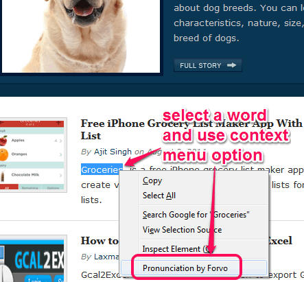 use context menu option to pronounce a word