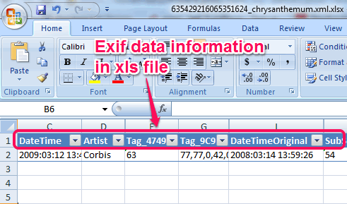xls file of exif data