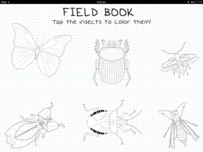 Field Book