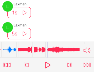 Media Controls for Voice Messages