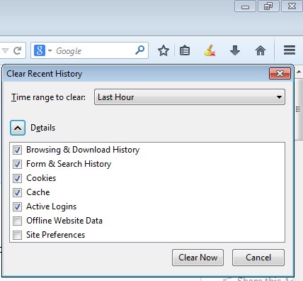 browsing history cleaner addons firefox 1