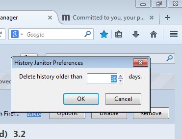 browsing history cleaner addons firefox 4