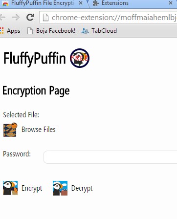 file encryption extensions google chrome 3