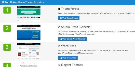 Top 10 WP Themes