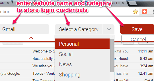 enter website name and choose category to store login credentials