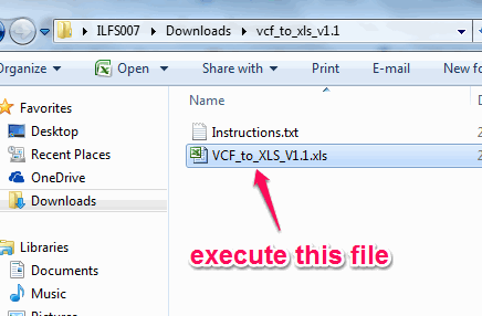 execute the file