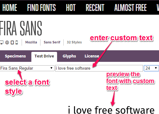 preview font style with custom text