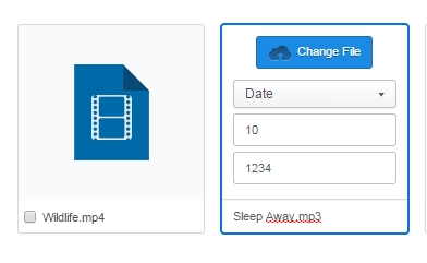 Set Password Protection and Expiration Limit