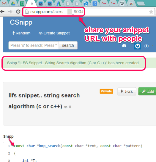 share snippet URL with people