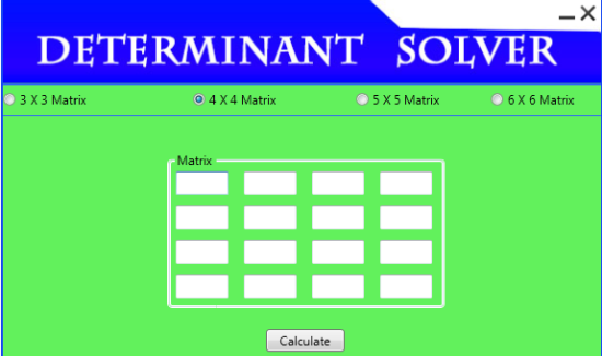 Determinant Solver Interface