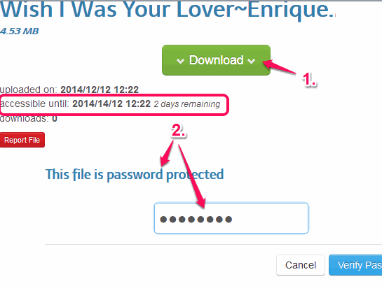 enter correct password to download the file