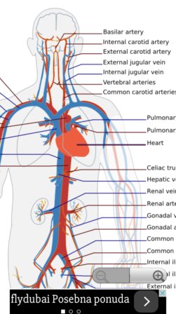 human anatomy apps android 1