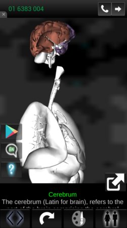 human anatomy apps android 4