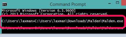 drop exe file of this software on Windows command prompt