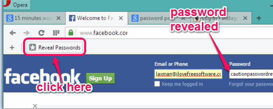 Show or Reveal Password Bookmarklet