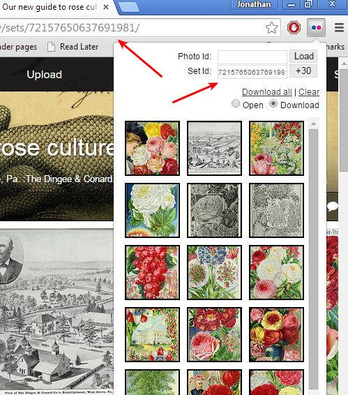 flickr image downloader extensions chrome 1