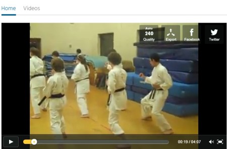 learn karate online