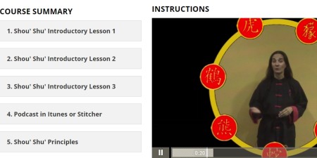 learn karate online
