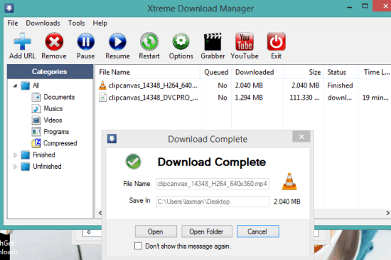 Xtreme Download Manager- interface