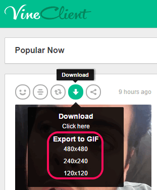 export video as GIF