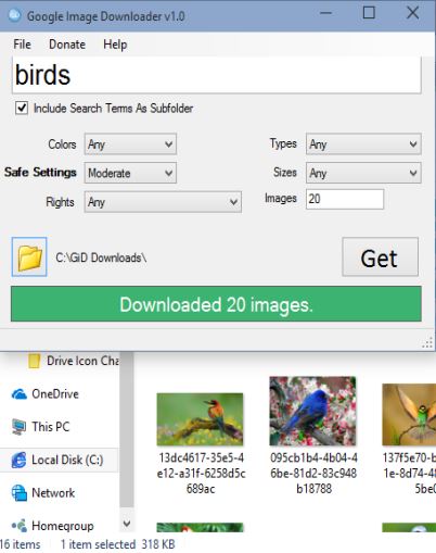 image downloader software windows 10 3