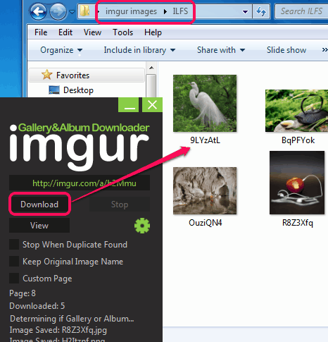imgur Gallery&Album Downloader- interface