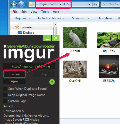 imgur Gallery&Album Downloader- interface. imgur Gallery&Album ...