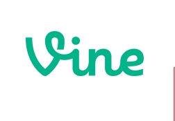 online Vine downloader-icon
