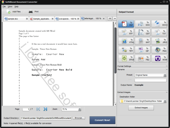 Soft4Boost Document Converter- interface