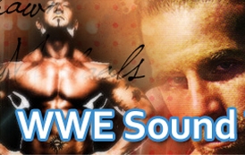 Download WWE theme songs-icon