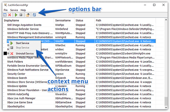 lazwinservicemgr in action