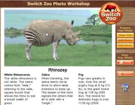 switchzoo rhinozep