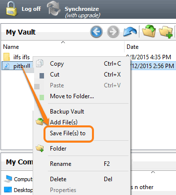 use right-click context menu option to save file