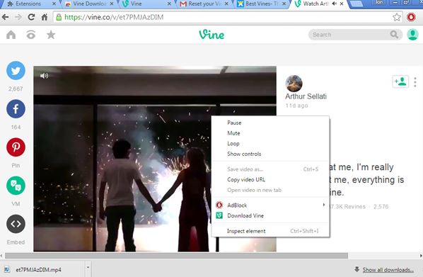 vine extensions chrome 2