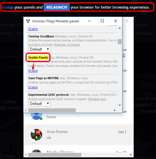 enable panels and relaunch the browser