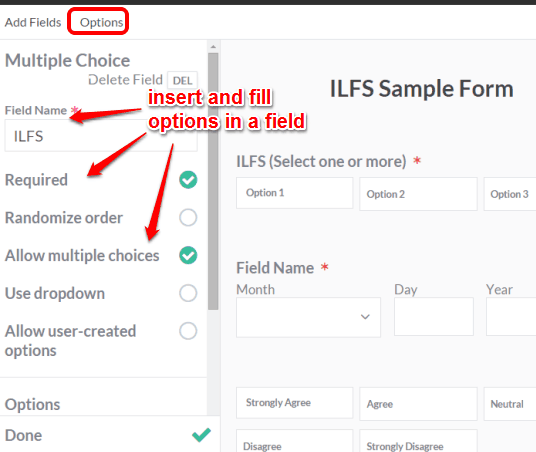 insert and fill options in a field