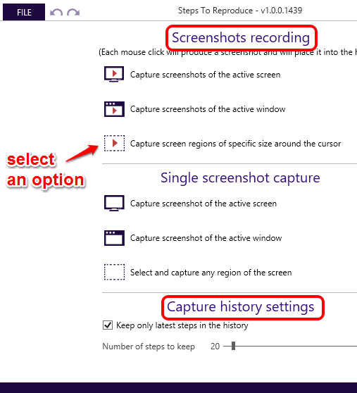 select type of screen capture