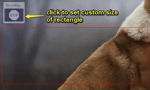 set custom size of screen capturing rectangle