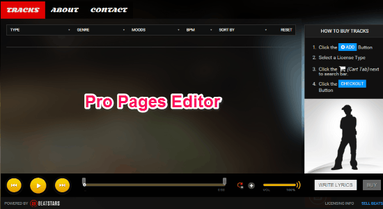 pro page editor