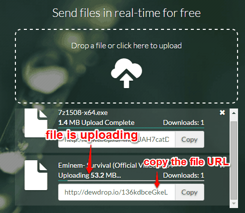 copy the URL of file
