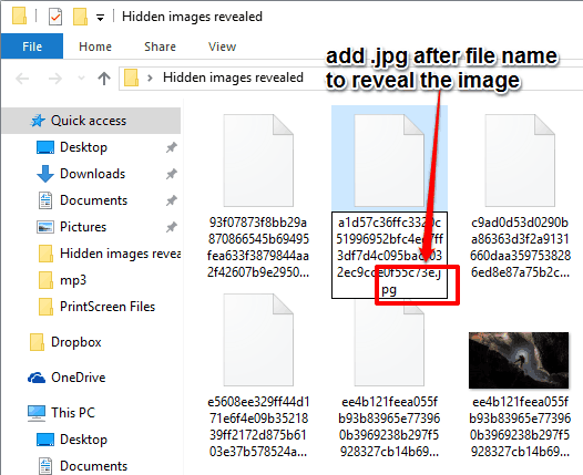 add .jpg after file name to reveal the image