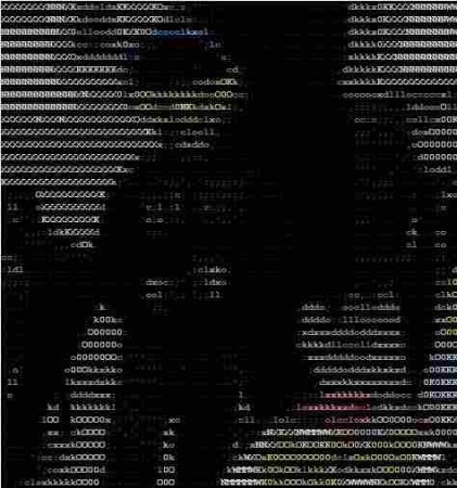 asciiart converted colored photo