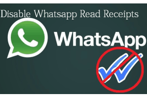 disable WhatsApp Read Receipts using Firefox add-on