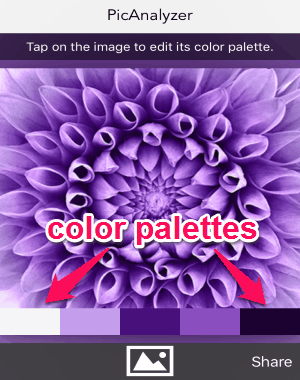 extract color palettes