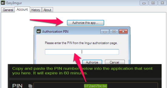 Authorize EasyImgur with Pin