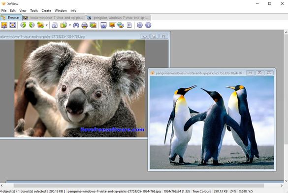 dual pane image viewer software windows 10 3