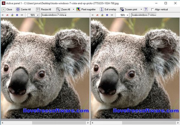 dual pane image viewer software windows 10 5