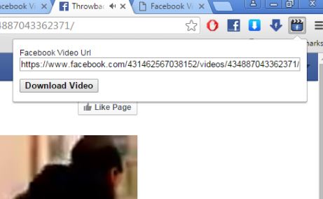 facebook video download extensions chrome 4